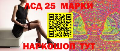 СК Заводоуковск