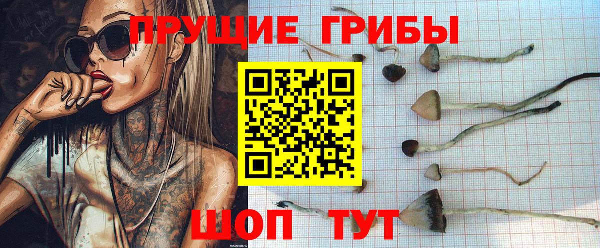 Галлюциногенные грибы прущие грибы  Вход с VPN  Псилоцибиновые грибы Psilocybine cubensis  Кумертау 