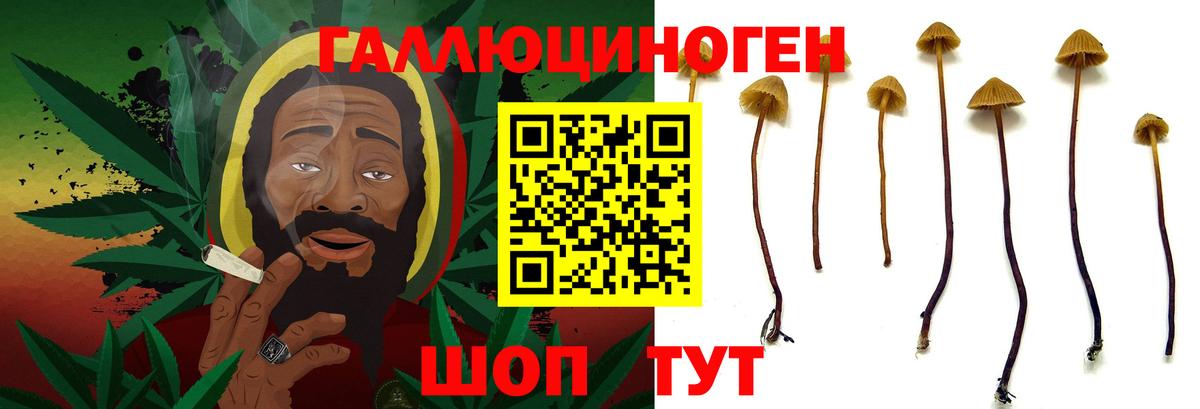 Меф МЯУ МЯУ   Марихуана  Кумертау  Конопля  Гашиш  Вход с VPN  A-PVP СК   МЕТАДОН  ГАШ  Купить наркотик 